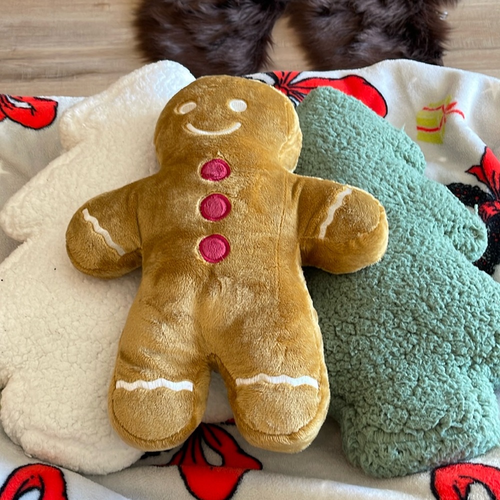 Christmas pillows